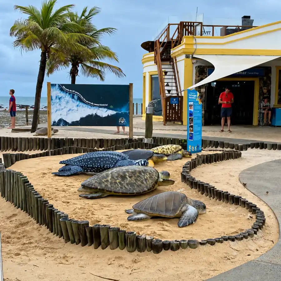 Sea turtle sculptures outside the Projeto Tamar visitor center